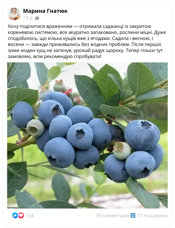 Заголовок