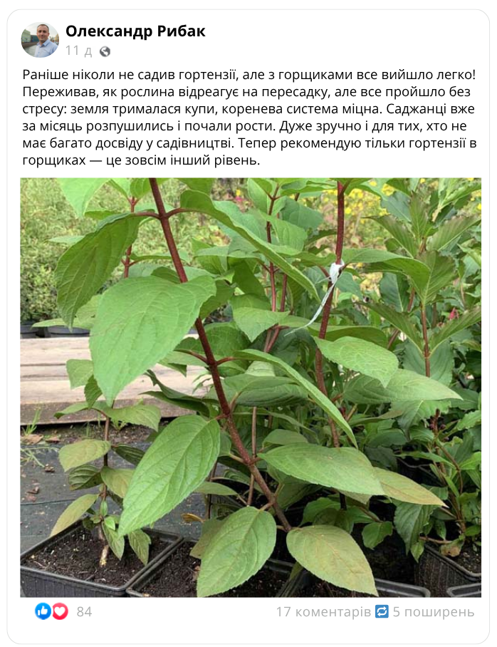 Заголовок